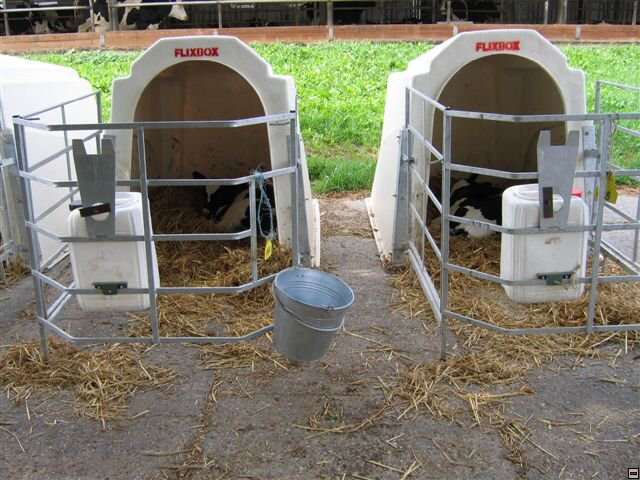 Troubelice 2006 031.jpg
